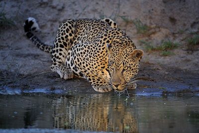 Voyage Randonnée du lac Natron aux plaines du Serengeti 3