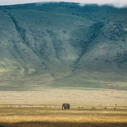 Randonnée Tanzanie Lac Manyara