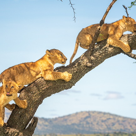 Randonnée Tanzanie Lac Manyara