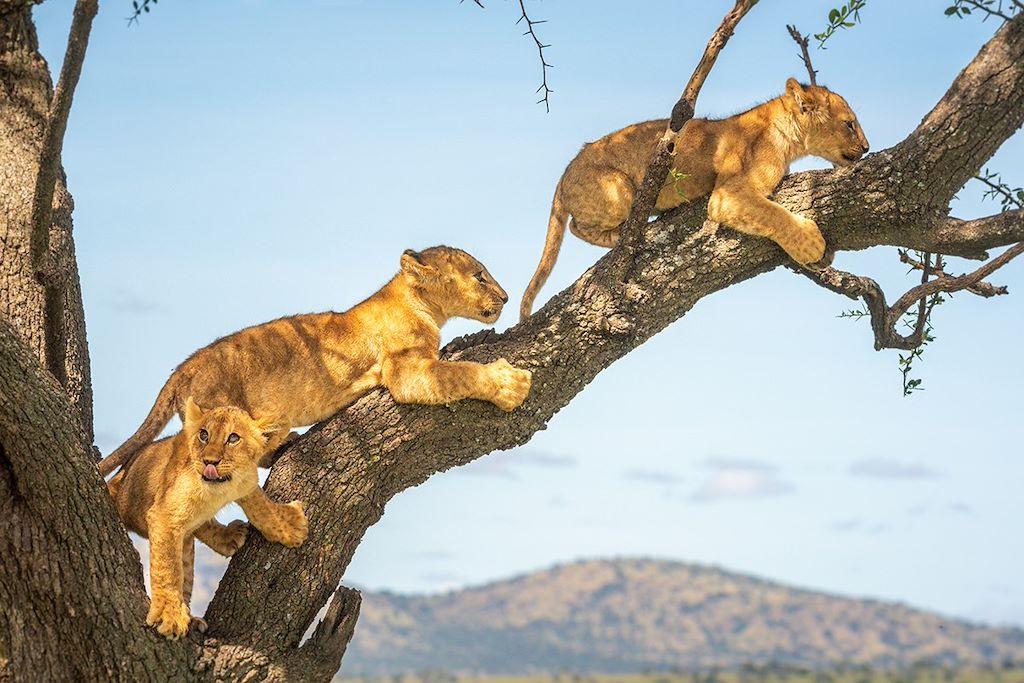 Image Randonnée Empakai - safari Ngorongoro - trek Natron