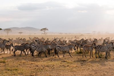 Voyage  Ngorongoro