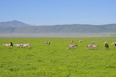 Cratère du Ngorongoro - Tanzanie