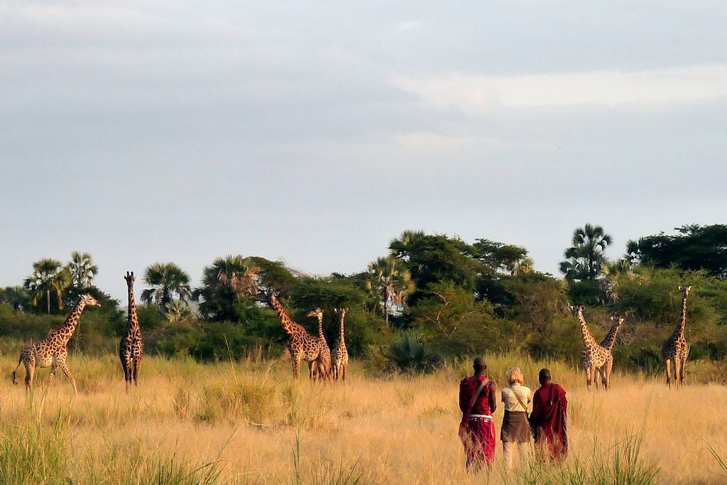 Randonnée Ngorongoro