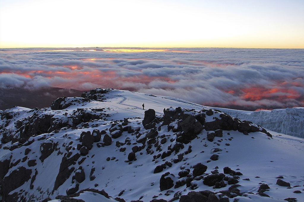 Voyage Kilimandjaro, voie Machame (5895m) 2