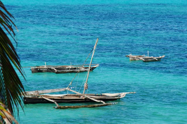 Image Sud sauvage et plage de Zanzibar