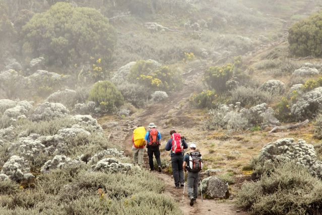 Trek - Mont Meru et Kilimandjaro