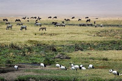 Voyage Aventure en famille, savane et Ile aux Epices 2