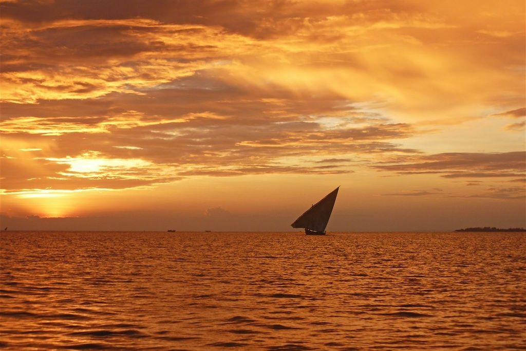 Voyage Trilogie dans les parcs et découverte de Zanzibar 1