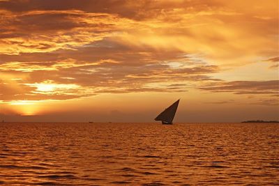 Croisière au coucher du soleil, à bord d'un dhow - Vieille ville de Zanzibar - Tanzanie