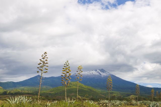Image Mont Meru et Kilimandjaro