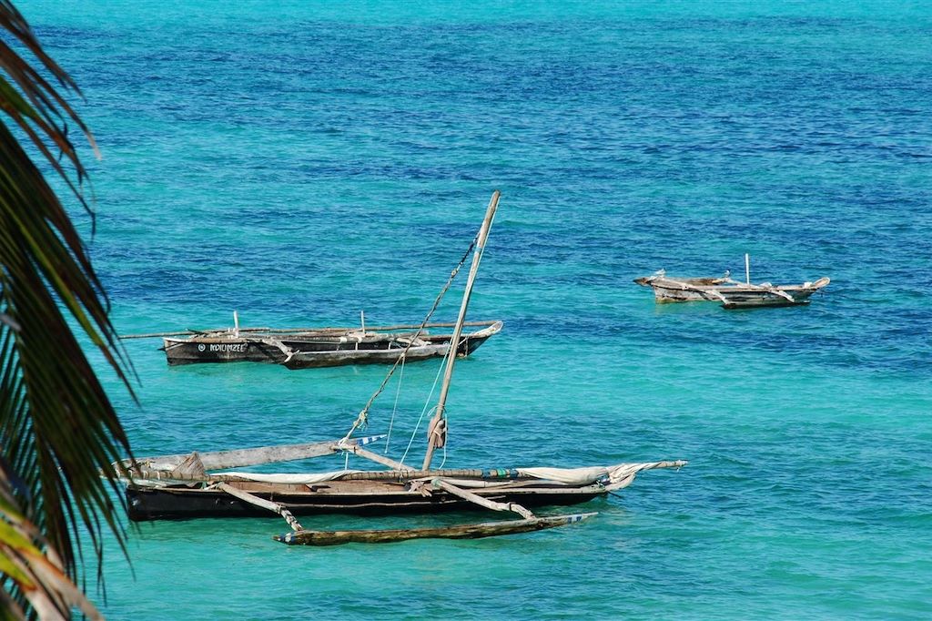 Voyage Du bush tanzanien aux plages de Zanzibar