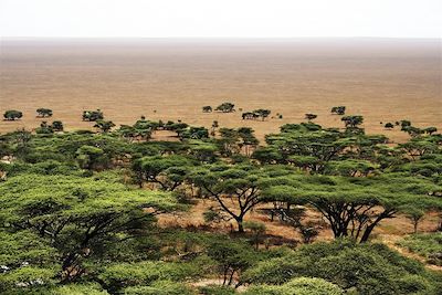 © Yann Guiguen - Vue du parc de Serengeti - Tanzanie Vue du parc de Serengeti - Tanzanie