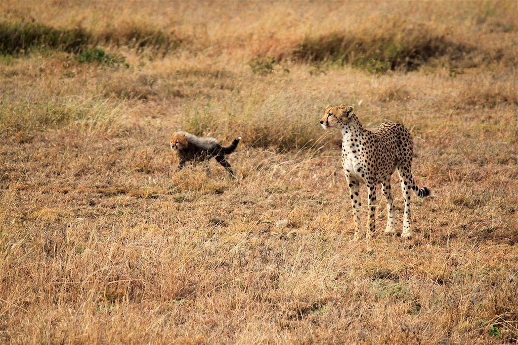 Voyage Escapade de charme tanzanienne 2