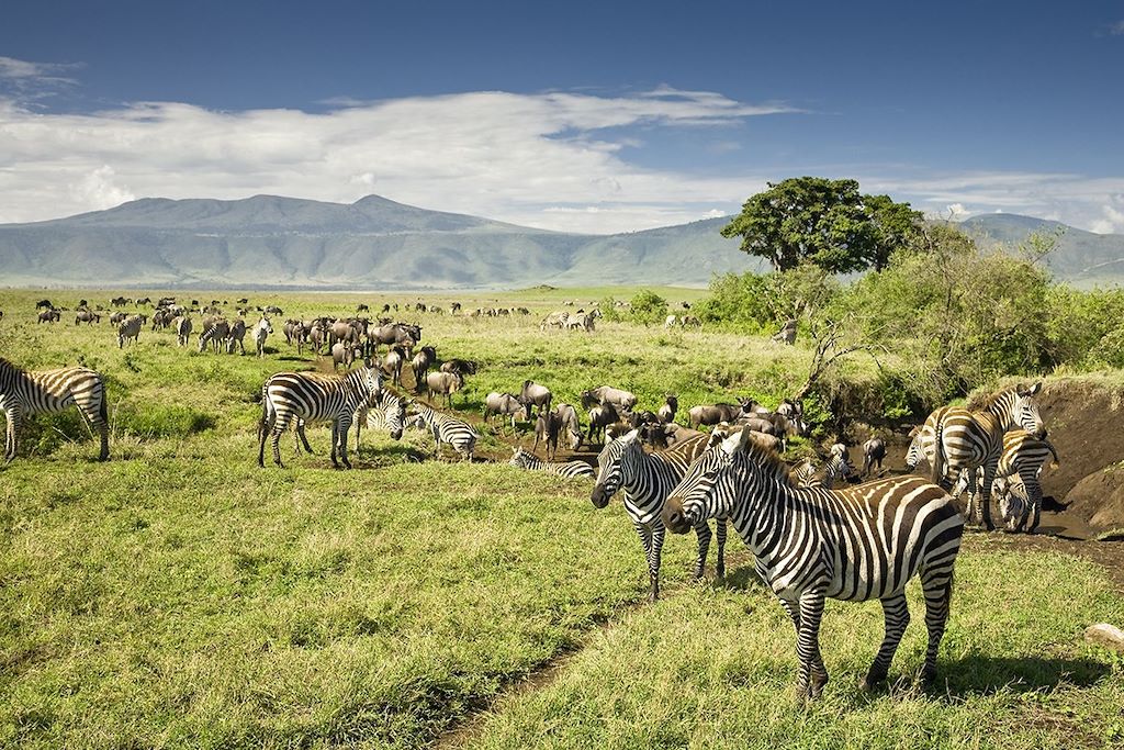 Voyage Escapade de charme tanzanienne