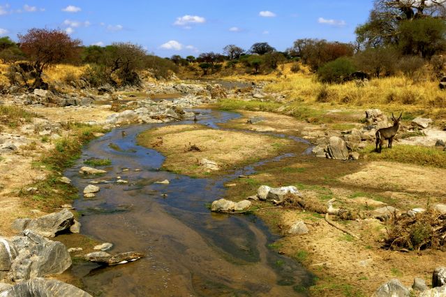 Image Rando dans la vallée du Rift et safari