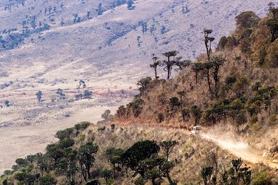 Cratère du Ngorongoro - Tanzanie