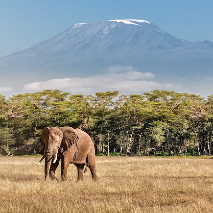 Safari Tanzanie Parcs Nationaux du Nord