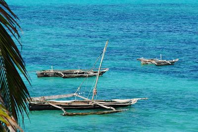 © Jean-Bernard Desbat - Plage près de Jambiani - Zanzibar Plage près de Jambiani - Zanzibar