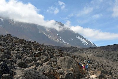 © Marion Rouzé - En route vers Lava Tower Camp - Kilimandjaro, voie Machame - Tanzanie En route vers Lava Tower Camp - Kilimandjaro, voie Machame - Tanzanie
