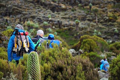 © Florian Hauer - Trek entre Barranco Camp et Karanga Camp - Kilimandjaro - Tanzanie Trek entre Barranco Camp et Karanga Camp - Kilimandjaro - Tanzanie