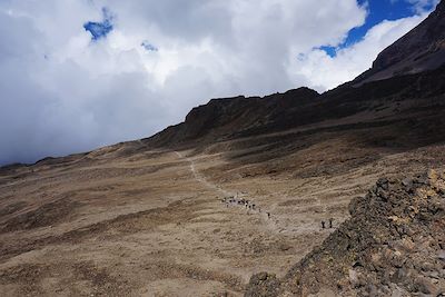 Trek entre Karanga Camp et Barafu Camp - Kilimandjaro - Tanzanie