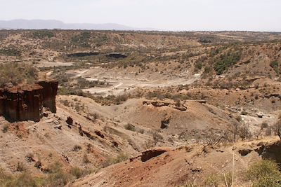 Gorges d'Olduvai - Tanzanie