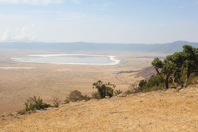 © David Brunet - Sur la route de Karatu - Région d'Arusha - Tanzanie Sur la route de Karatu - Région d'Arusha - Tanzanie
