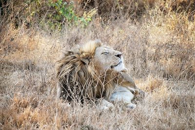 © Laetitia Ferreira - Cratère du Ngorongoro - Tanzanie Cratère du Ngorongoro - Tanzanie