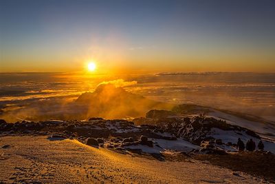 Kilimandjaro et safaris dans le bush tanzanien