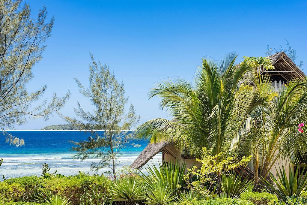 Voyage Rencontre avec le roi de la savane et Zanzibar 1