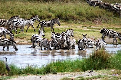 Parc du Lac Manyara