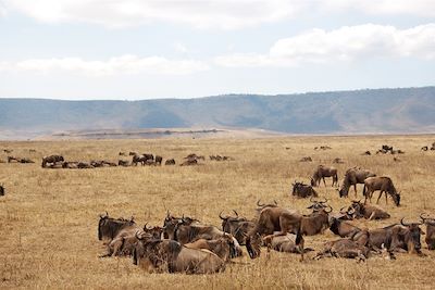 © Aminata Konte - Parc national du Ngorongoro - Région d'Arusha - Tanzanie Parc national du Ngorongoro - Région d'Arusha - Tanzanie