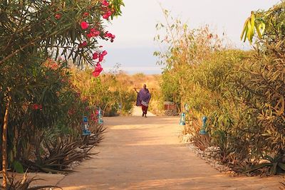 © Marie-Astrid Peltier - Manyara - Tanzanie Manyara - Tanzanie