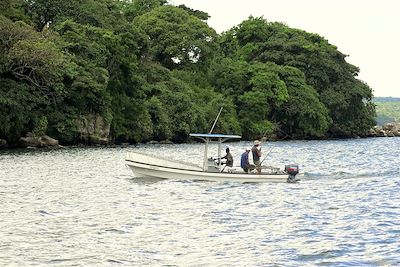 Rubondo Island Camp - Lac Victoria - Tanzanie