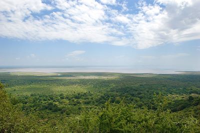 Aire de Conservation du Ngorongoro - Tanzanie