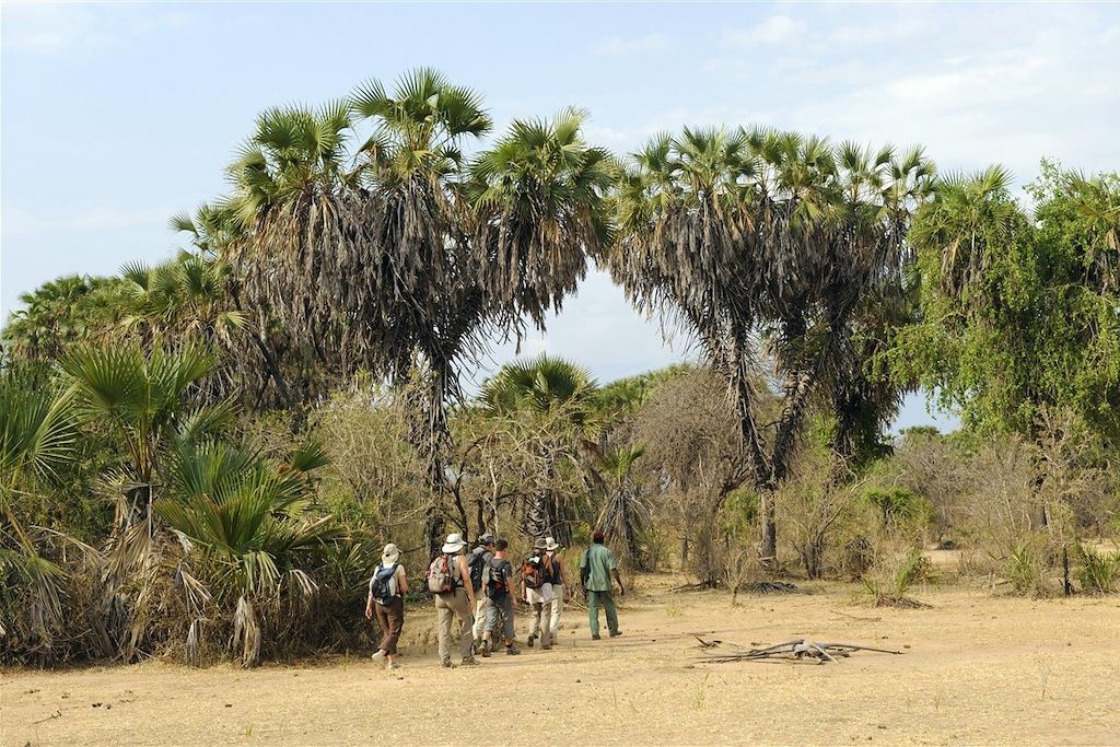 Image Safari Tanzanie - Trek Parc Selous - Randonnée Parc Udzungwa