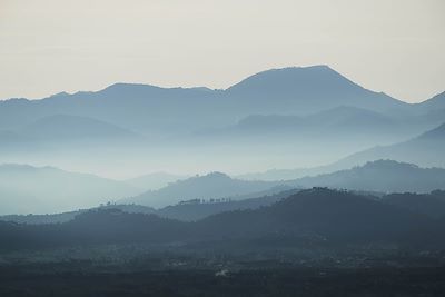 One&Only Gorilla's Nest - Parc National des Volcans - Rwanda