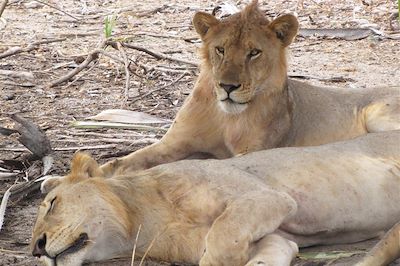 Voyage Au coeur du Selous, l'autre visage de la Tanzanie 3