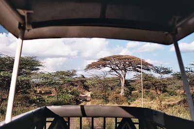 Voyage Safaris au coeur de Nyerere, la Tanzanie autrement 1
