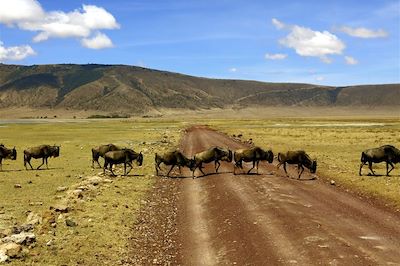 Le massif du Ngorongoro - Tanzanie