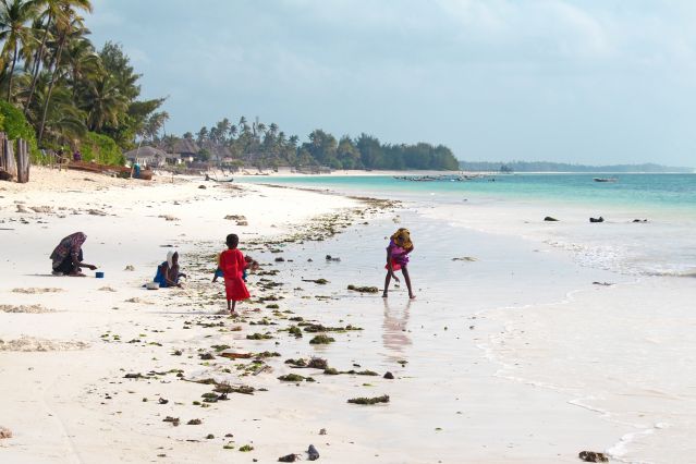 Voyage multi-activités - Zanzibar, l\'île aux épices