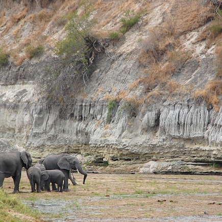 Safari Tanzanie Ngorongoro