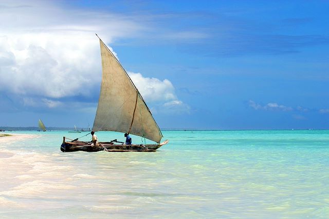 Voyage : Kilimandjaro, safaris et Zanzibar Voyage Kilimandjaro, safaris et Zanzibar