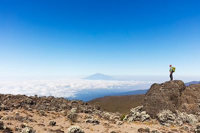 © John Warburton Lee / hemis.fr - Parc national du Kilimandjaro - Tanzanie Parc national du Kilimandjaro - Tanzanie