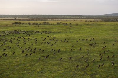 © Mwiba Lodge - Mwiba Lodge - Serengeti - Tanzanie Mwiba Lodge - Serengeti - Tanzanie