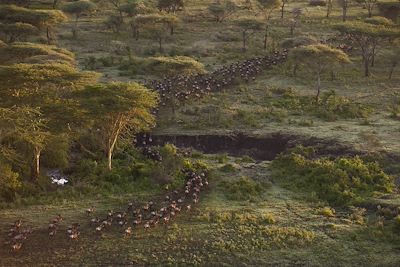 © Mwiba Lodge - Mwiba Lodge - Serengeti - Tanzanie Mwiba Lodge - Serengeti - Tanzanie