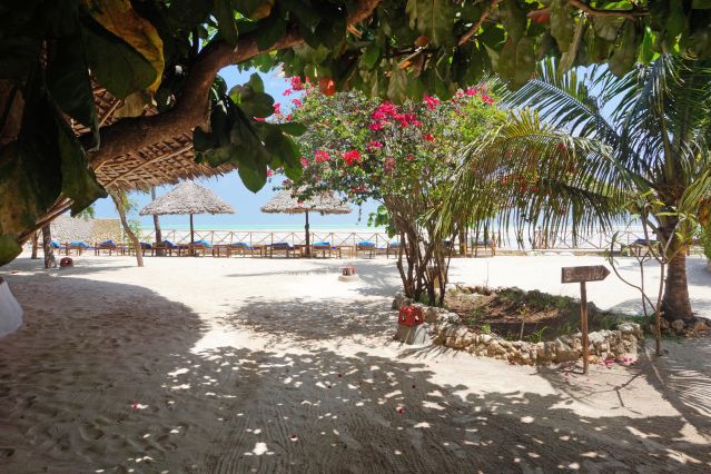 Image Zanzibar, l'île aux épices