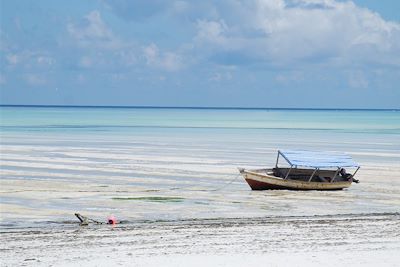© Jean-Bernard Desbat - Plage près de Jambiani - Zanzibar Plage près de Jambiani - Zanzibar