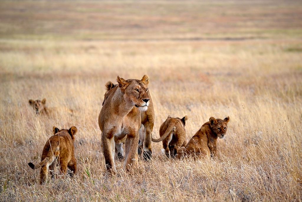Image Trek Tanzanie - Rando Gol Mountains - Lac Natron - Safari Serengeti