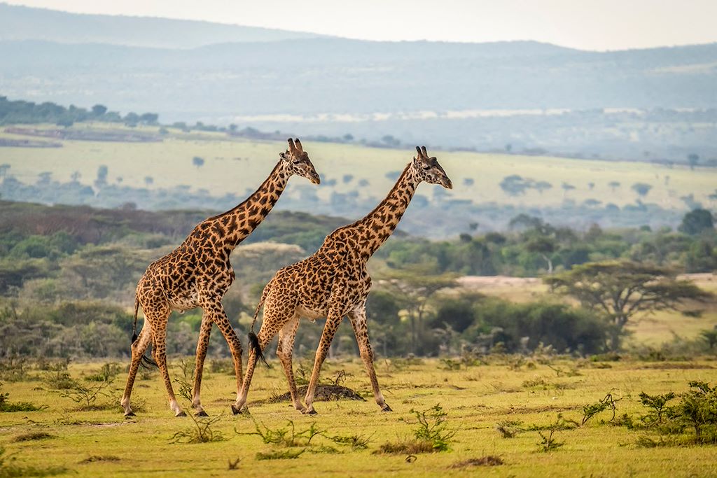 Image Trek Tanzanie - Rando Gol Mountains - Lac Natron - Safari Serengeti